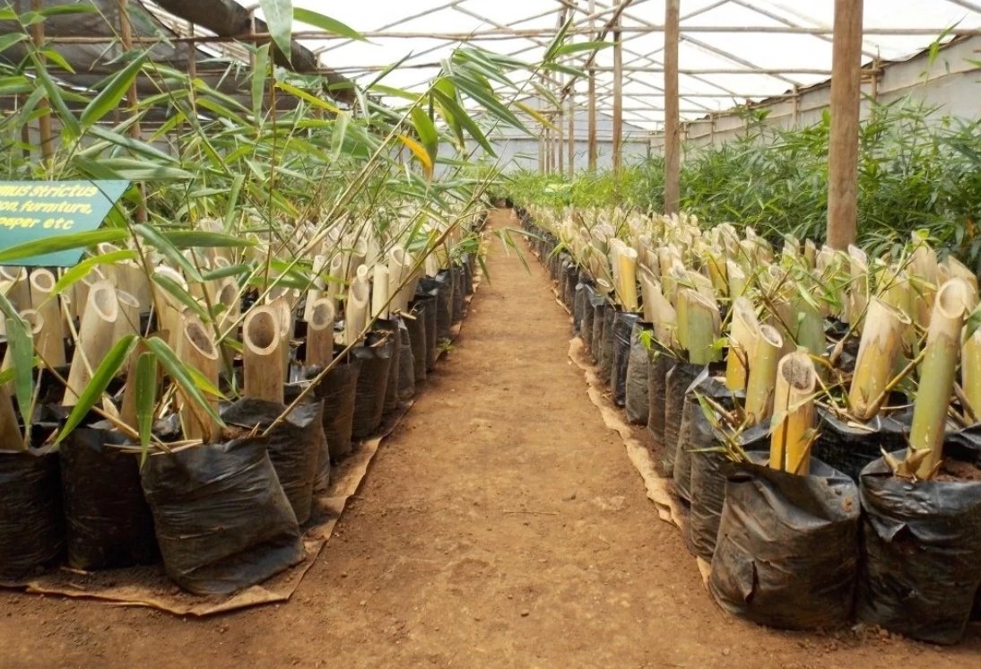 smart farming in kenya changing farmers lives