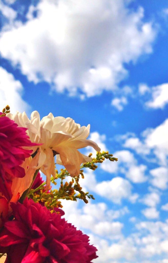 اللهم إني أسألك حبك .. وحب من يحبك ..

#صباح_الخير🌸🍃