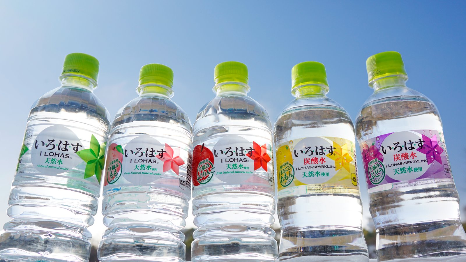 い ろ は す い ろ は すからも ももが卒業 もももい ろ は すを支える小さな巨人でしたね 今月卒業されたあの方も ももも みなさん本当におつかれさまでした 心からありがとう