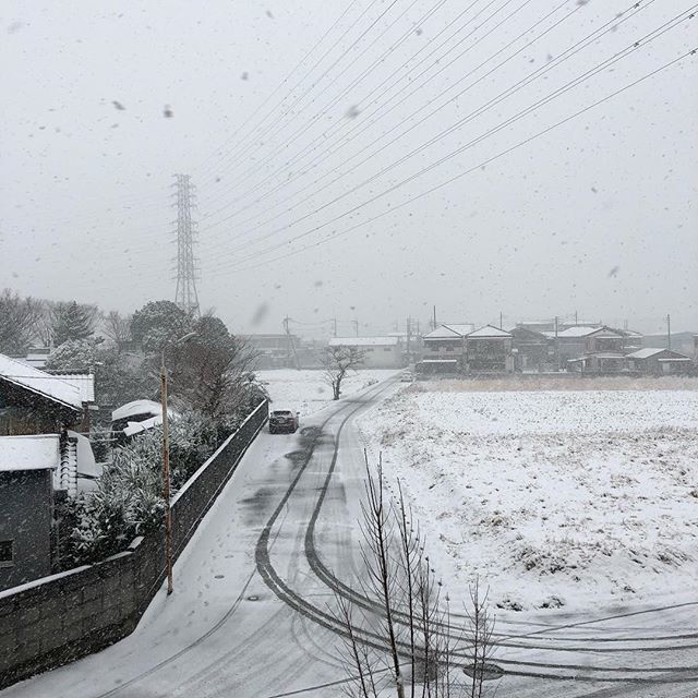 kpo840's tweet photo. Snow
#landscape #townsnaps #koshigaya #snow #iphone8 #風景 #街撮り #越谷市 #雪景色 #写真撮ってコー https://t.co/h8m8rZfX6y https://t.co/BJKjFpqY98