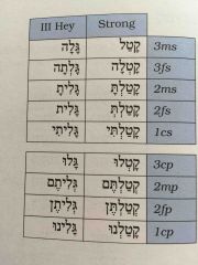 Qal Perfect: Weak גלה Verbs