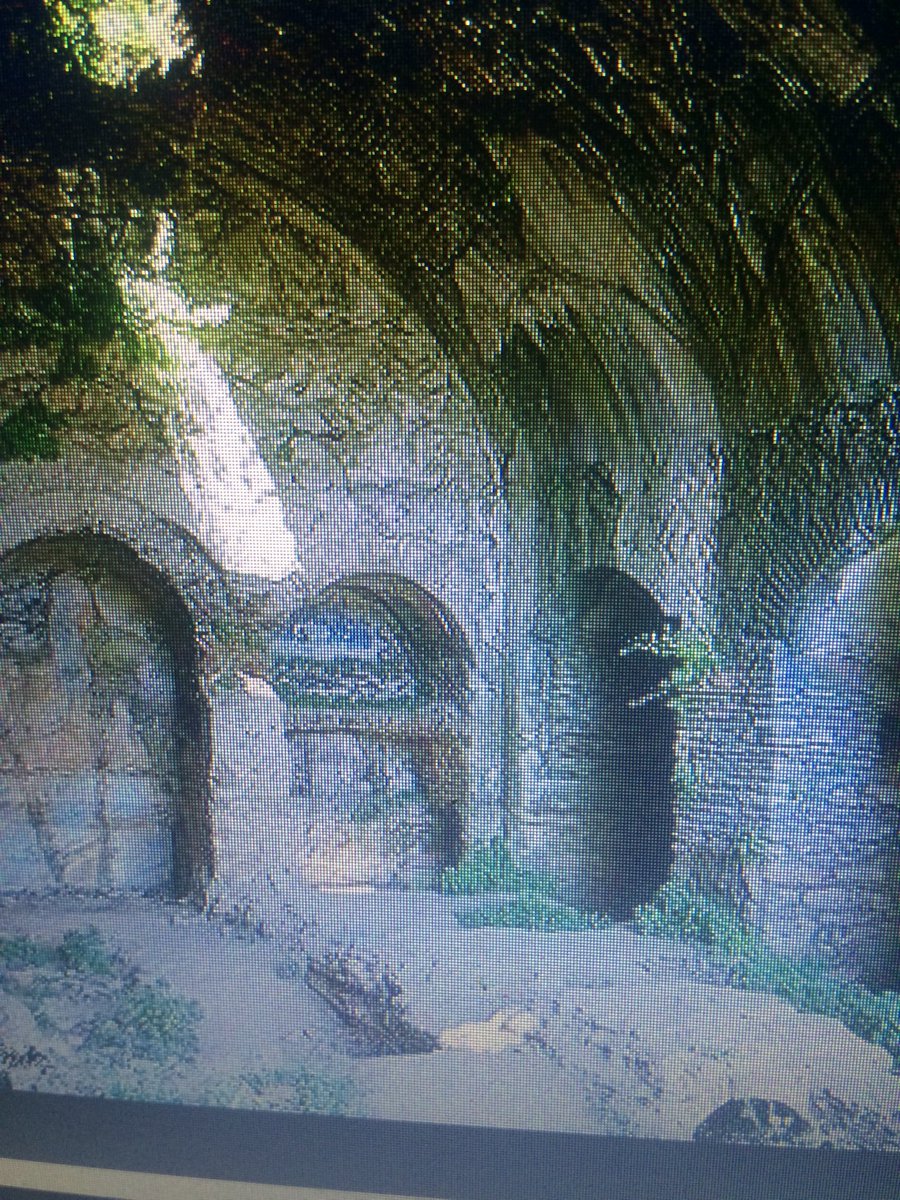 halil0 (@halil069749262) on Twitter photo 