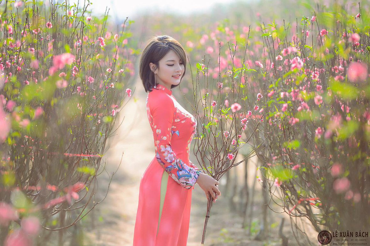 lehan_le's tweet photo. SẮP TẾT NỮA RỒI 
NEW YEAR AGAIN !!!
https://t.co/5MhbwB3mDZ https://t.co/FBGMQ6Cb8r