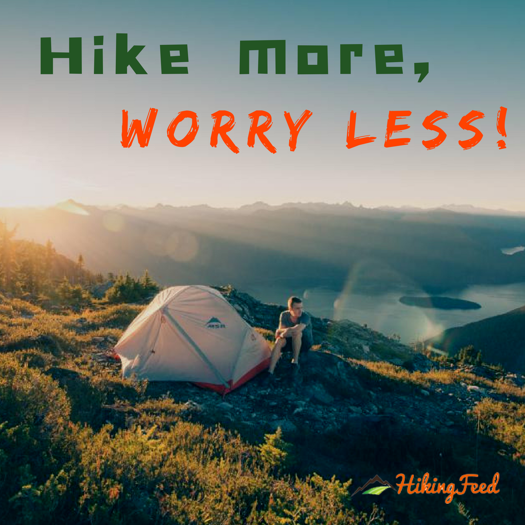 hikingfeeder's tweet photo. All you have to do is show up to the trail. #hiking #hike #worries #worry #showup #adventure #adventures https://t.co/ISmJMJt6ph