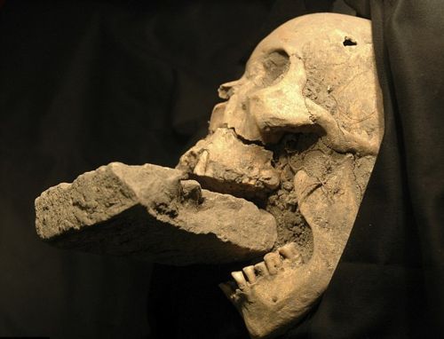 5. The remains of a female ‘vampire’ from 16th-century Venice was buried with a brick in her mouth to prevent her from feasting on plague victims.She was discovered by Archaeologists in Bulgaria with iron rods pierced through her chest to keep her from turning into the undead.