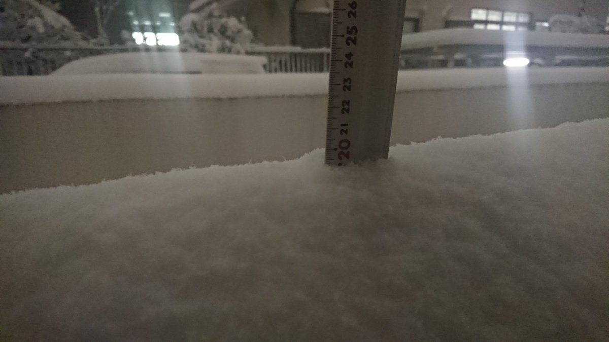 積雪 19cm 三鷹市内 20時
