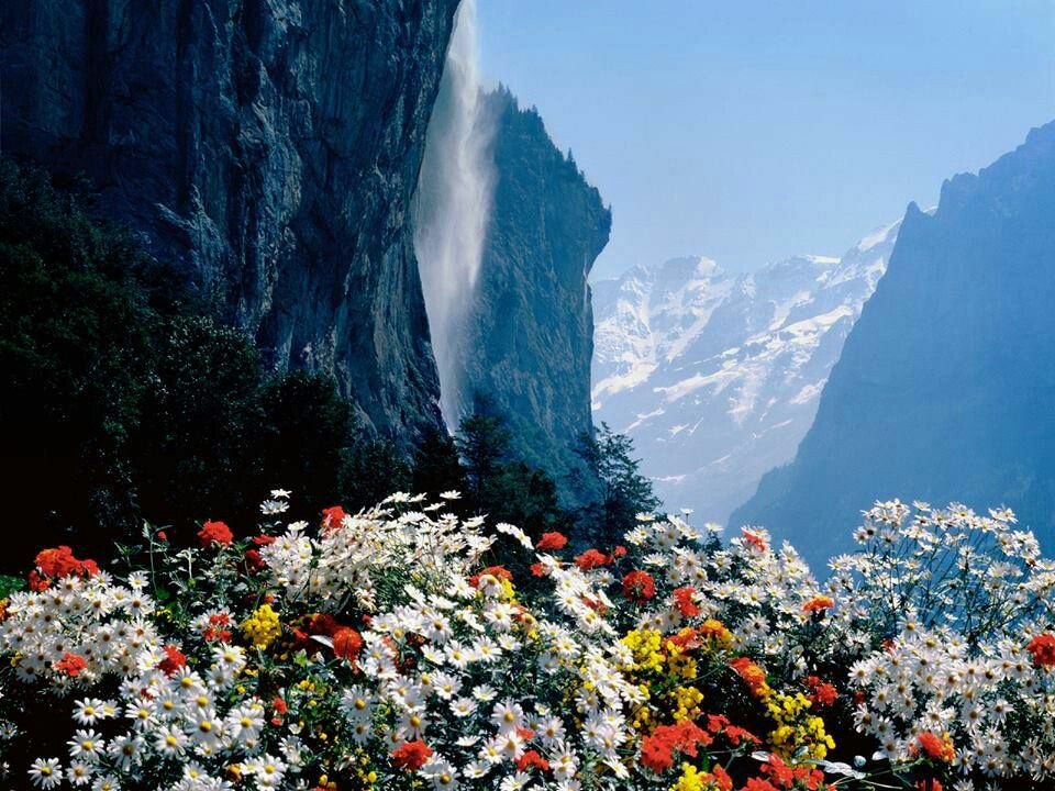 Patimoma56's tweet photo. Querido@s Amigos #BuenosDias 
#FelizLunes 🍃 https://t.co/tCQfK3JU4I