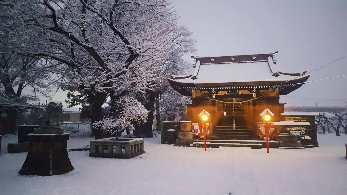 Winter japan. Императорский дворец Токио зимой. Зима в Японии. Япония зимой. Японский сад ночью зимой.