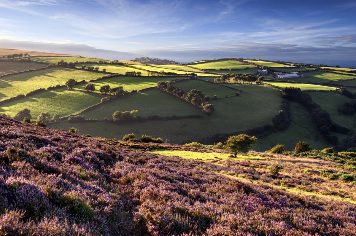 Please vote for us in the <a href="/BBCCountryfile/">BBC Countryfile</a> Awards 2018: We've been nominated in the "National Park of the Year" category. ow.ly/bgcx30hUXPM