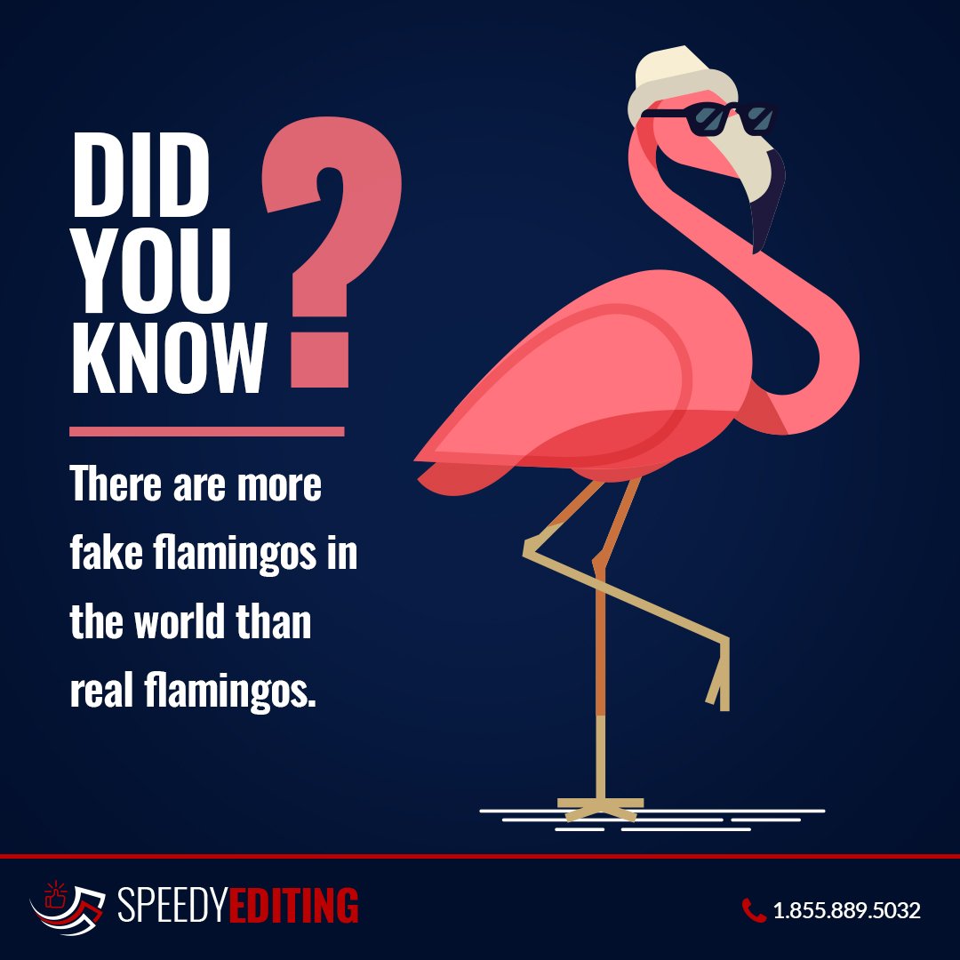 SpeedyEditing's tweet photo. Did you know 

#AssignmentHelp #EssayHelp #SpeedyEditing https://t.co/1Ds4g10I6s