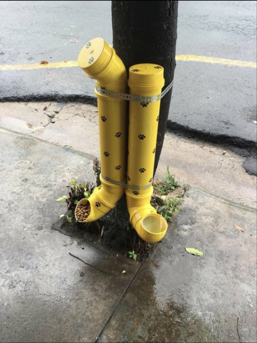 pompaboni's tweet photo. Me pareció bueno compartirlo, los perros de la calle tienen la posibilidad de tener comida y agua todos los días. Es algo re económico de hacer, ojalá lo difundan y lo tengan muchos en cuenta. https://t.co/wQPN5vLQ9i