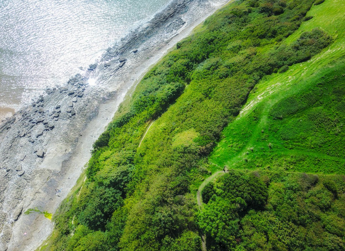 Loving the contrast of green &amp; sea in this #drone view over a lovely patch of Welsh #coastline 🌲<a href="/WalesCoastPath/">Llwybr Arfordir Cymru / Wales Coast Path</a> <a href="/Wales_Online/">Wales Online Social</a> <a href="/BeachPlaces/">Beach Vibes ☼</a> <a href="/WalesPhotos/">Wales Photos</a> #drones #dronephotography #aerialphotography #aerialview #500pxrtg #wales #coast #nature #landscape #photography #dronedreamsuk