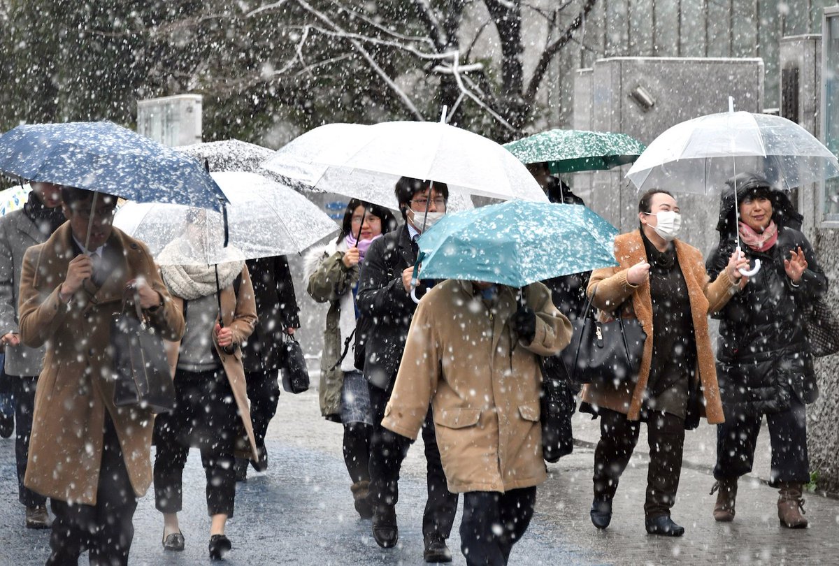 japantimes's tweet photo. Tokyo hit by heaviest snow since 2014 https://t.co/9Rch5Ly7Dl https://t.co/zzSCUrnOWu