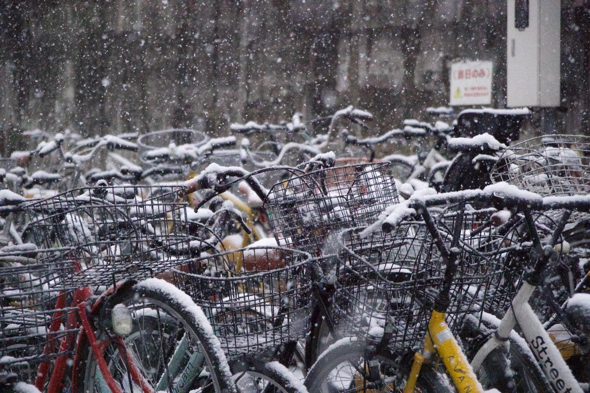 japantimes's tweet photo. Tokyo hit by heaviest snow since 2014 https://t.co/9Rch5Ly7Dl https://t.co/zzSCUrnOWu