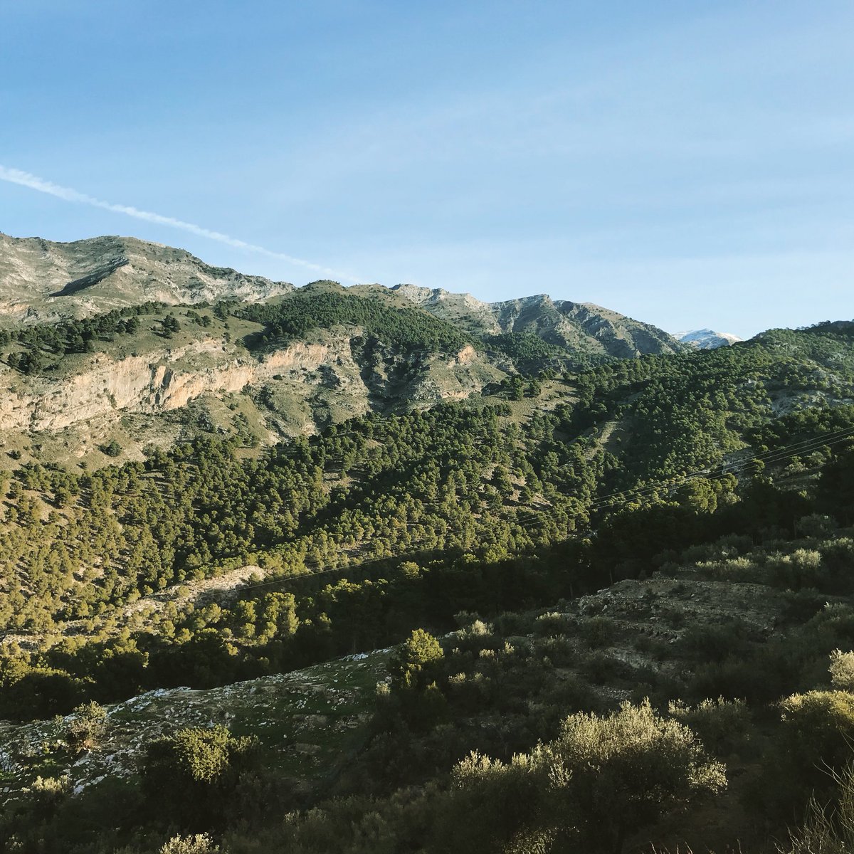 PoolGardenConst's tweet photo. View from the office this morning.....
#morning #mountains #geology #rockstructure #winter https://t.co/68krzmY1IG