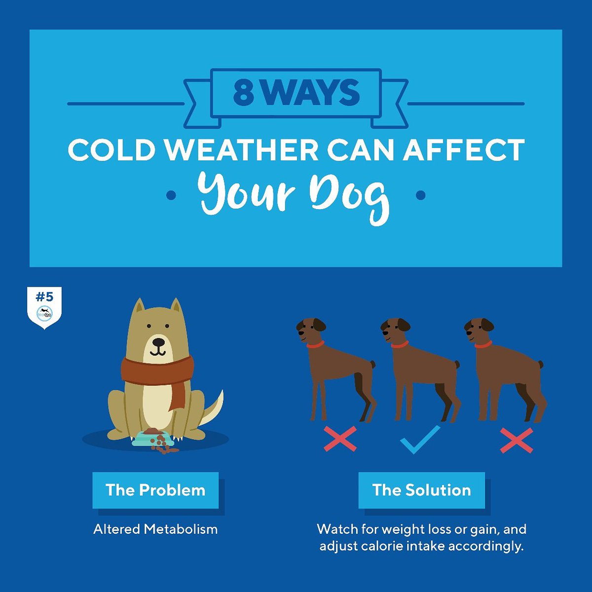 TopDogHealth's tweet image. Day 5 #Cold #Weather #Facts: It takes energy to keep warm, and some #dogs may need a slight increase in calories once the temperature drops below a certain degree in order to maintain body heat.
Check out our blog for the solution. 
👉 bit.ly/2loFjzs 👈