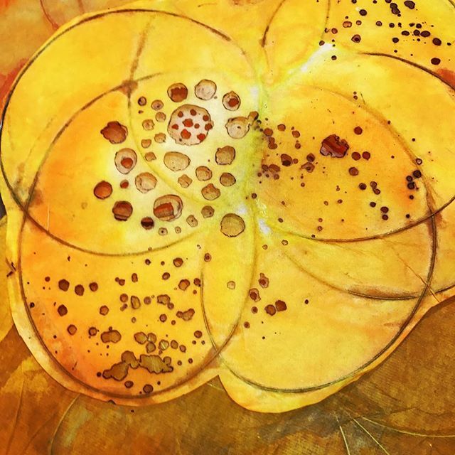 Nicola_Anthony's tweet image. Chinese calligraphy paper, ink and mirrors. @fbairprogram #fbairprogram #thefabricoftime 
#fineart #contemporaryArt #artwork #sculpture #installation #inspiration #installationart #sculptor #orange #pattern #paper #britishartist #burnt #drawing #inkdrawi… ift.tt/2BiUq2v