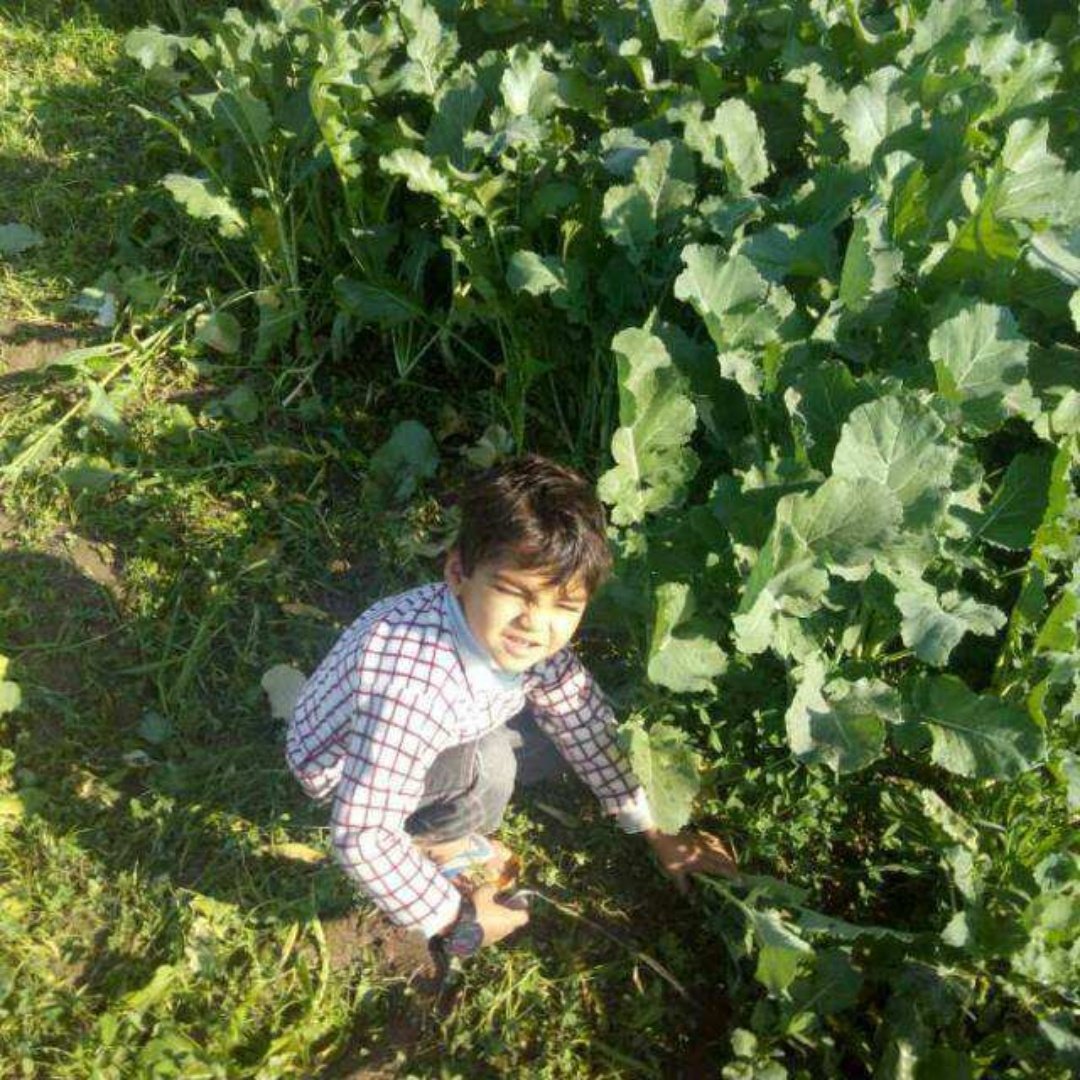 HuzaifaHadeed3's tweet photo. #NewProfilePic https://t.co/mUUXqmsKCz