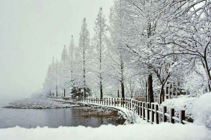 오늘
열심히 살면
내일 더
열심히 살수 있습니다.
오늘 할 일을
오늘 잘 끝내면
내일 하루도
더
잘 이어 갈수도 있습니다.
오늘 부끄로워 지면
내일은 더
부끄러워지기 쉽습니다.
오늘의 목표가
내일의 목표가 되고
인생의 목표가 됩니다.