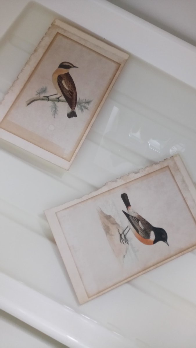 EmilyOConserve's tweet image. #MondayMotivation float washing these two chats. Does this constitute a #birdbath #TLPC?