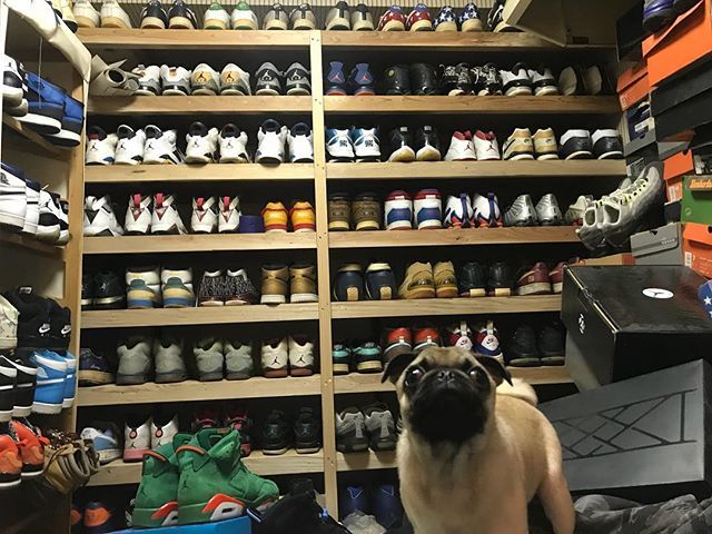 DJ_ANIMAL21G's tweet photo. my kicks room with dan
#弾 #paglife https://t.co/CUCUQx4API https://t.co/KPhQ8T6jZT