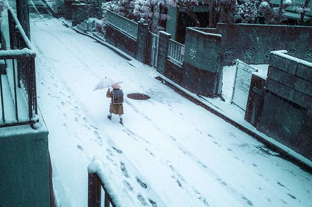 macoteauT's tweet photo. snow
#snap #street #japan #tokyo #infrared #nex5n #zeiss #macoteau #streetphoto #streetphotography #igersjp #wu_japan #instagood #urbanscape #thecreatorclass #inspirationcultmag #ig_japan #urbanphotography #shootermag_japan #photooftheday #team_jp_ #1x … https://t.co/lm1Rn10UFN https://t.co/zv5FC2cwMz
