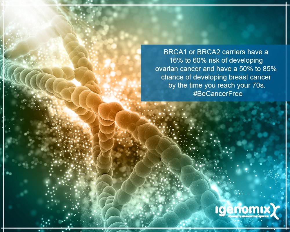 IgenomixME's tweet photo. #Oncodona test analyzes more genes associated with #BreastCancer and #OvarianCancer, making the test more complete. Take the first step to #BeCancerFree, click here: https://t.co/pIbWrgV5E6 https://t.co/lOFTiCUluq