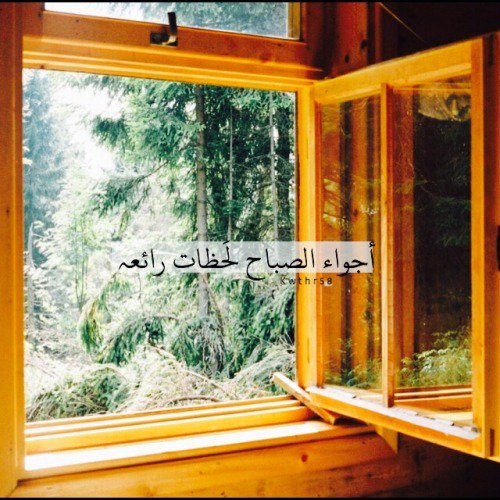 صباح الخير 🌷
صباح القلوب النقيّة 
فتهبها تلك الثقة راحةً وطمأنينة 💕
صباحكم راحة تملؤ أيامكم وقلوبكم 💕