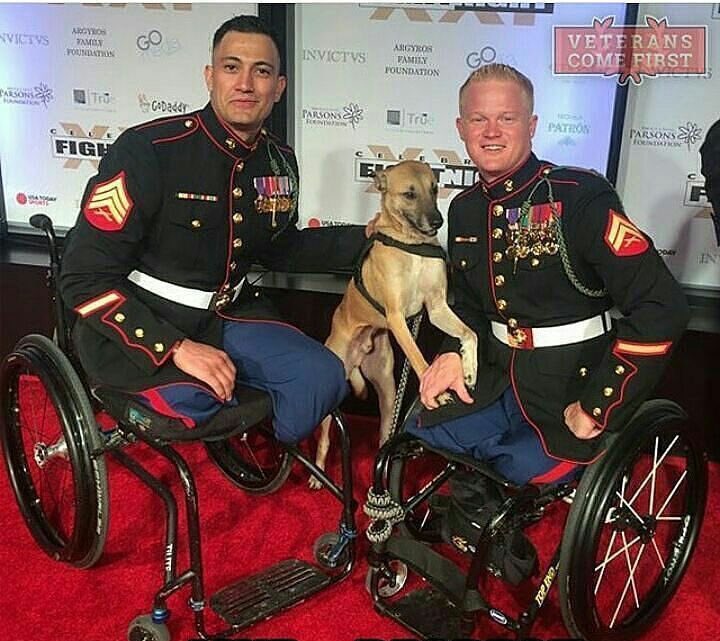 Stan Brother tweet media