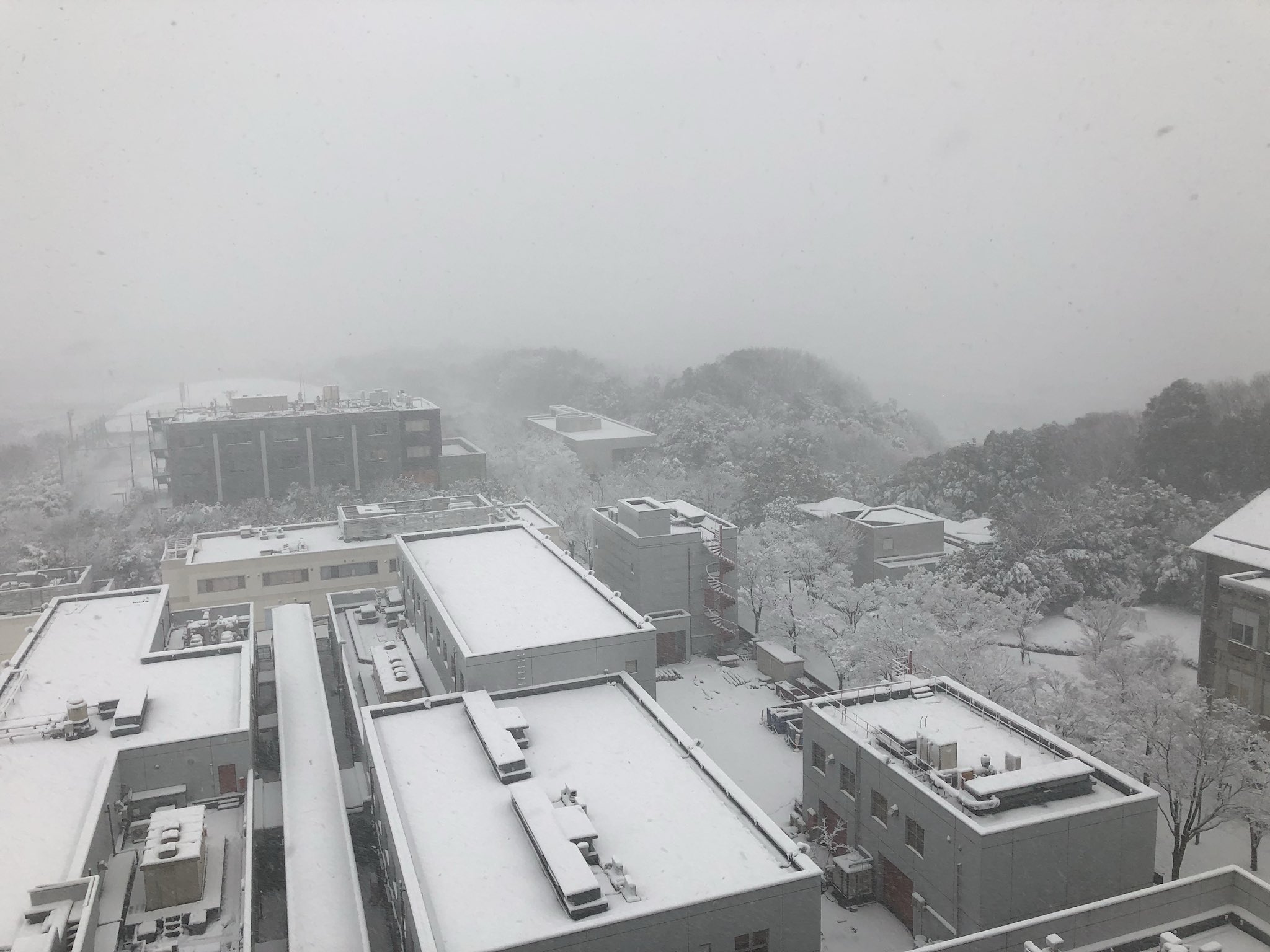 画像 八王子クオリティー T Co Qqw0tr1vn3 まとめダネ 画像 八王子クオリティー T Co Qqw0tr1vn3 まとめダネ