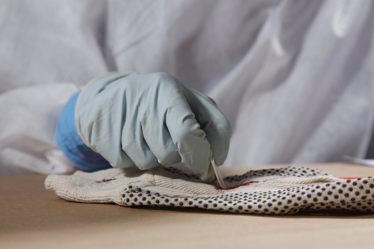 ForensicAccess's tweet photo. #Forensic #ProficiencyTesting Services: Quality Accredited #ProficiencyTests for #forensicscience – "Search, location & ID of body fluids (blood, semen, saliva) on exhibits". On Sale until 31 Jan 18, https://t.co/tOjt6KiDEx https://t.co/o55BDr5uLU