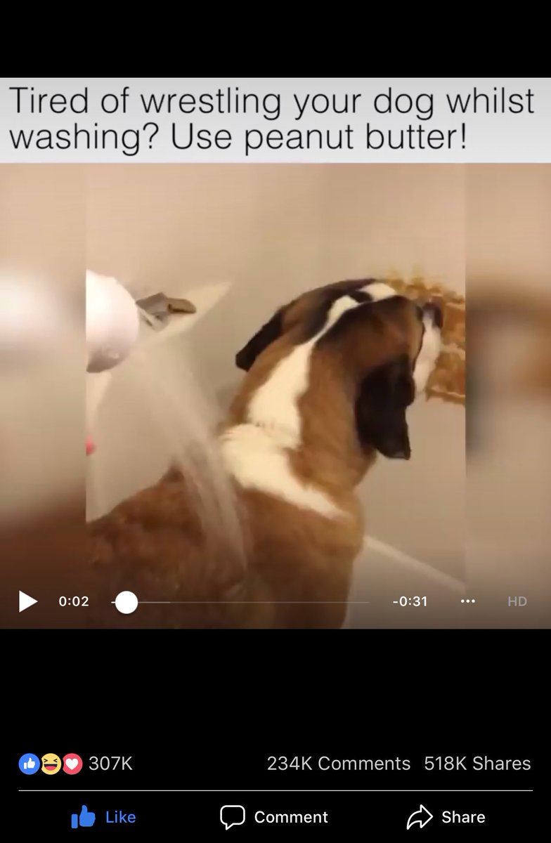 Maria_Zoller's tweet photo. Hey @JessicaVosk you can try this for Fred,it might work! https://t.co/DFVvEeT61r