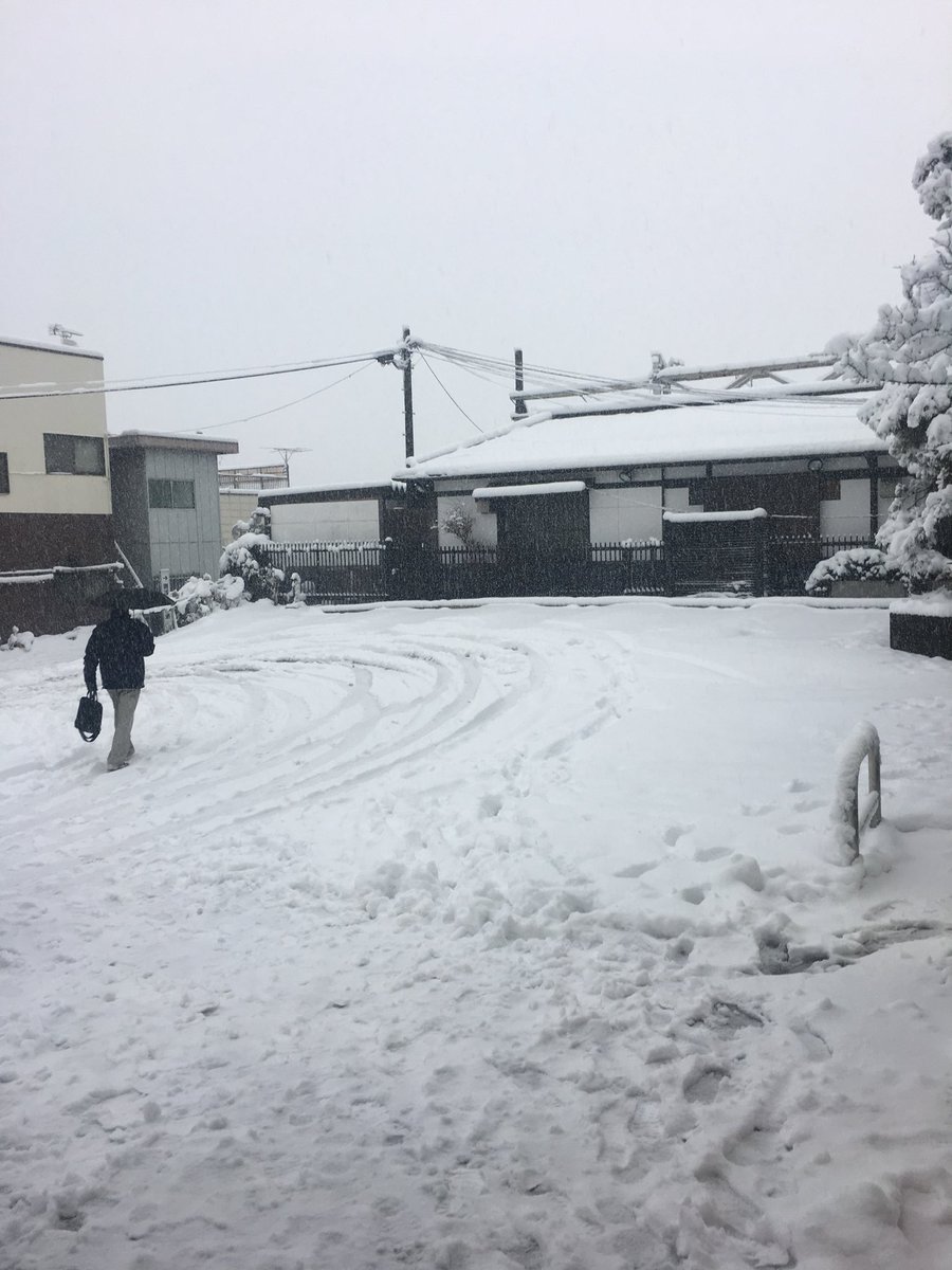 1224tweety's tweet photo. さすが、高尾！！池袋と違って雪が積もるのはやっ！！☃️☃️❄️
#高尾 
#雪 #積もりすぎ https://t.co/FokuireviL