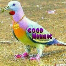 ravishhsingh's tweet image. Gd mrng Nd happy saraswati ##puja