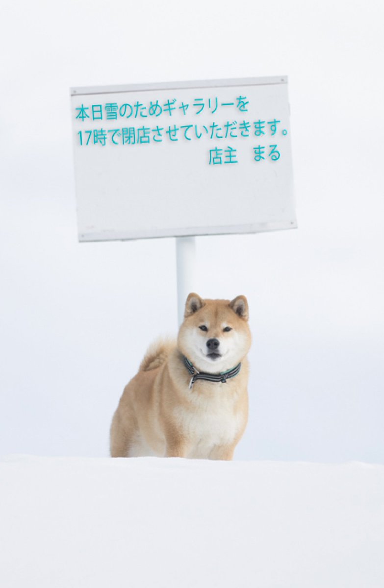 みんなも気をつけて帰ってね