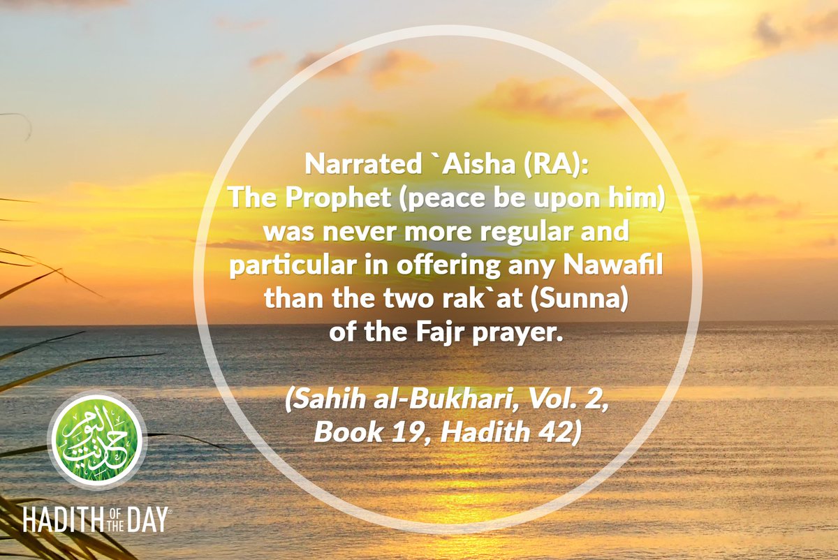 m sohail rafique (@msohail20918073) | Twitter