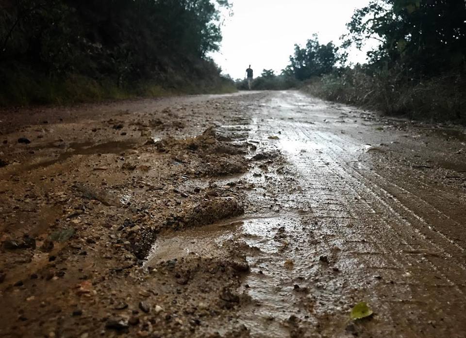 CottageCypress's tweet photo. Marloth walks in Swellendam, South Africa. We are so grateful for every drop of rain that we received this past days. 
#swellendam #overberg #southafrica #loveoverberg #visitswellendam #discoversa #discoverswellendam #hikes #marlothnaturereserve #friendsofmarloth #nature https://t.co/A4FOFxDNrC