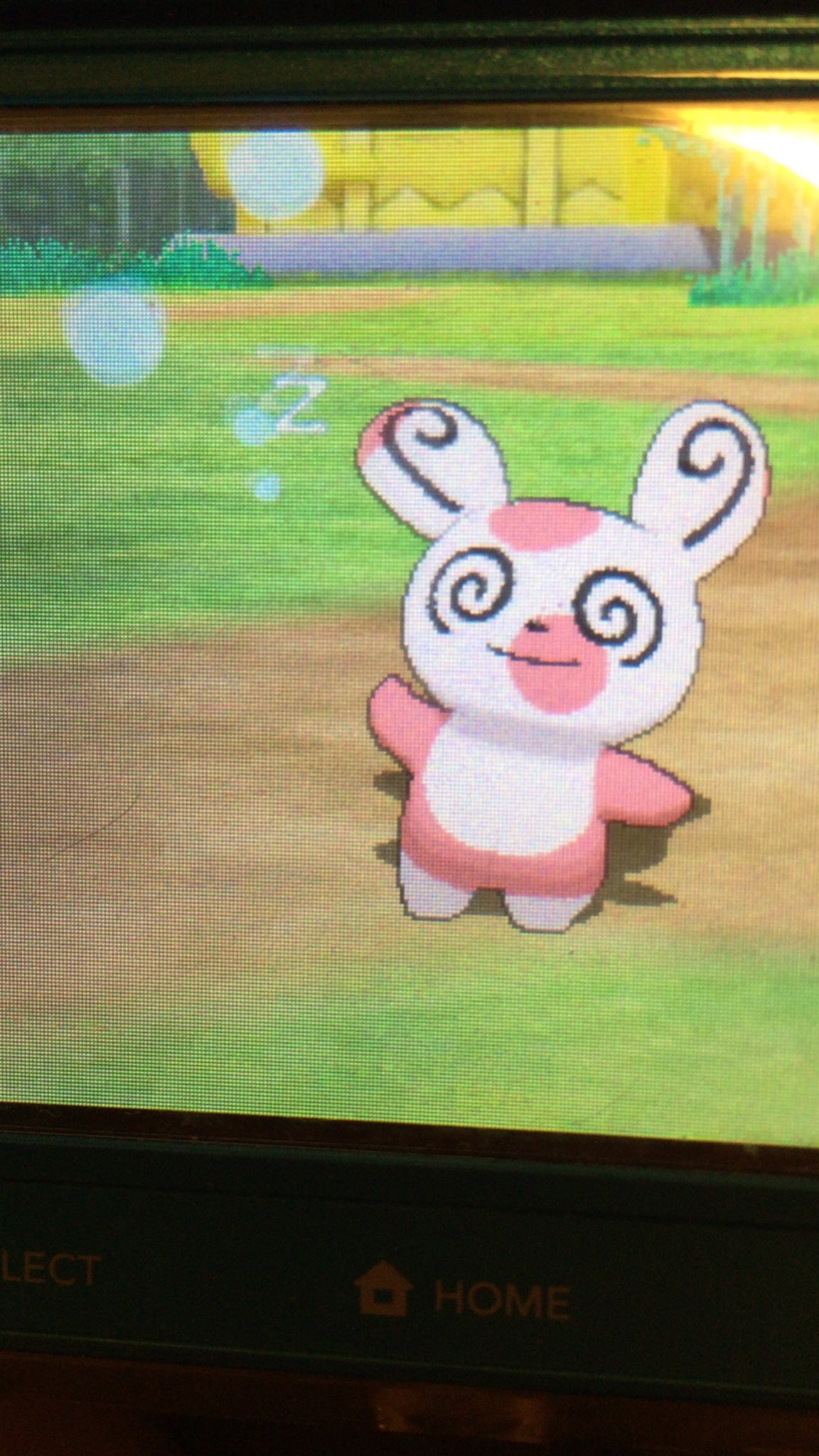 Twitter पर パッチール パッチール ポケモンの中で好きなポケモンの上位 くるくるの目にパンダみたいなぶち模様 よちよち歩く千鳥足 鳴き声 どれも可愛い Twitter पर パッチール パッチール ポケモンの中で好きなポケモンの上位 くるくるの目にパンダみたいなぶち模様 よちよち歩く千鳥足 鳴き声 どれも可愛い