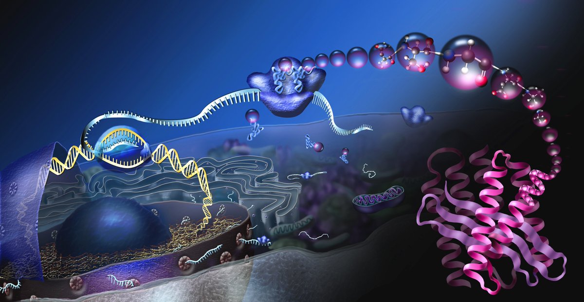 Onlinechwhelp's tweet image. Facing Difficulty in Molecular Biology Assignment! Get Online Homework / Assignment Help from Top Biology Tutors. Visit: onlinecollegehomeworkhelp.com/biology/molecu…
#MolecularBiology
#MolecularBiologyTutors
#BiologyHomeworkHelp
#BiologyAssignmentHelp
#OnlineCollegeHomeworkHelp