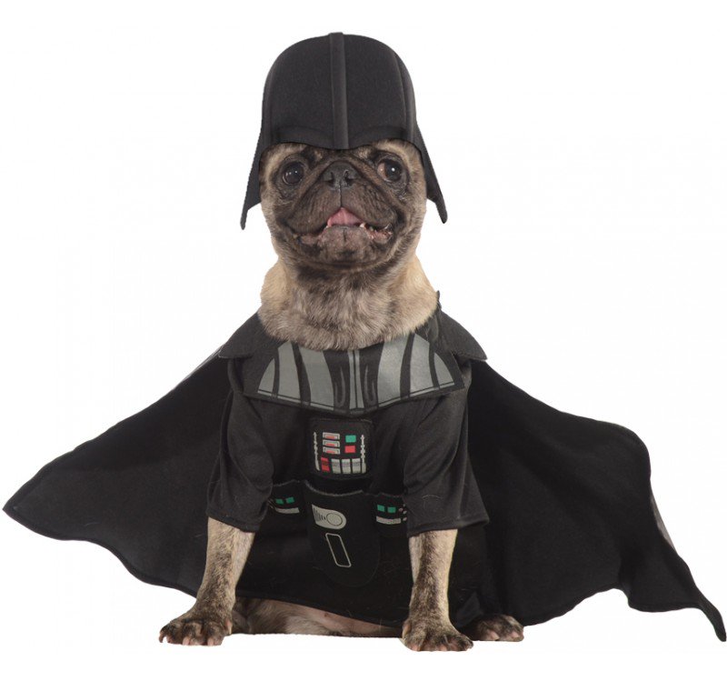 FrikiPets_FR's tweet photo. DÉGUISÉMENT DARTH VADER POUR CHIEN DE STAR WARS™
#StarWars #chiens #geek 
https://t.co/X1RGQs5Nj9 https://t.co/eh1dICQNel