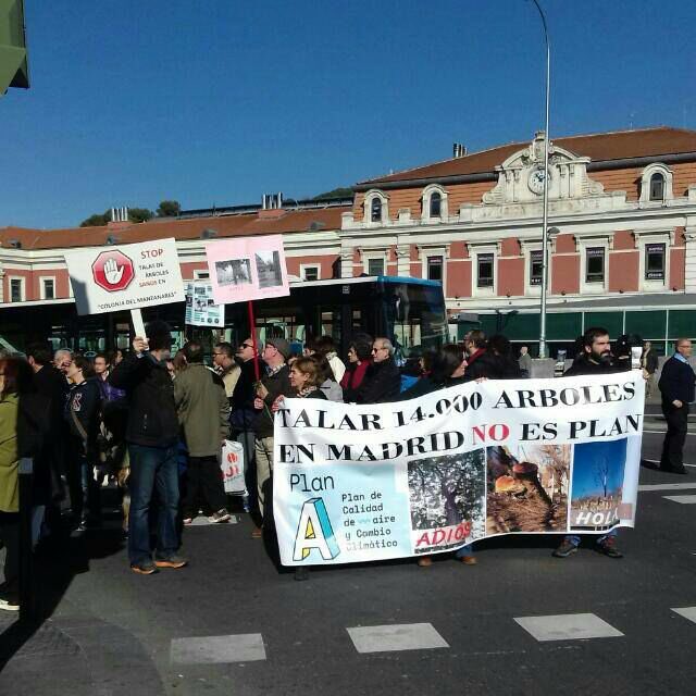 guixp11's tweet photo. ¿El #PlanA de calidad del aire incluye la tala de 14.000 árboles ? Pura contradicción: 
En #ColoniaDelManzanares os pedimos diálogo para conservar nuestros pulmones y prometisteis racionalizar. Hoy nos sentimos traicionados y ahogados, @isabanes @ManuelaCarmena @MADRID https://t.co/X6mu9jOO1h
