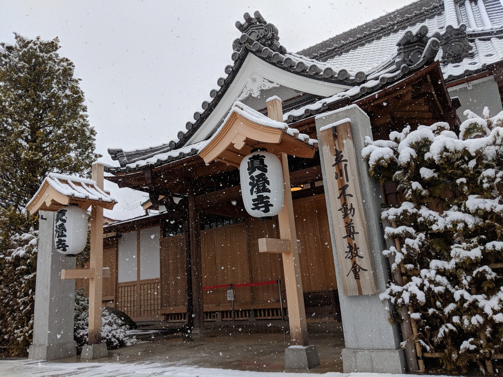 真如苑インフォメーション 立川で朝9時頃から降り始めた雪は 午後には雪だるまを作っても十分余裕があるほどに積もってしまいました 皆さん安全に気をつけてお過ごしください 明日の 真如苑の寒修行に参座される予定の方も どうかご無理のないように