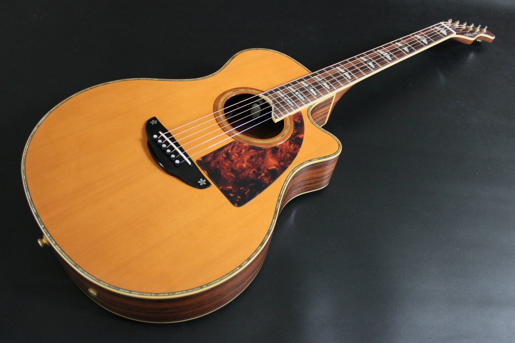 アコギ専門 オットリーヤ ナカザワギター 名古屋本店 على X