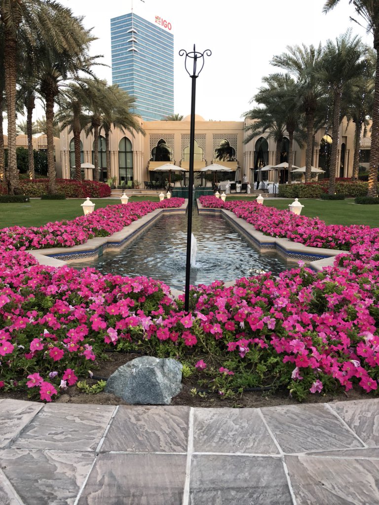 Amterl's tweet photo. ...〰️〰️〰️liebe diese Stadt!🌍🌍🌍 https://t.co/ewI4UFIEBC