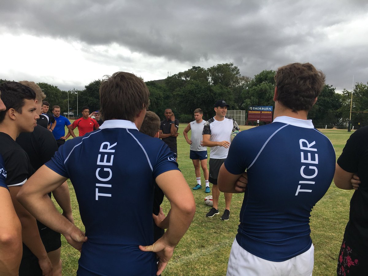 The <a href="/tigerrugby/">Tiger Rugby</a> training jerseys looking good! #tigerrugby #sasrugby #sasrii 

<a href="/HorneFrankie/">Frankie Horne</a> @PaulHolmes_10