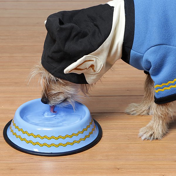 FrikiPets_FR's tweet photo. GAMELLE POUR CHIEN OU CHAT STAR TREK™
#StarTrek #chiens #chats 
https://t.co/3h1CZ0gPDz https://t.co/lDz7sF95g2