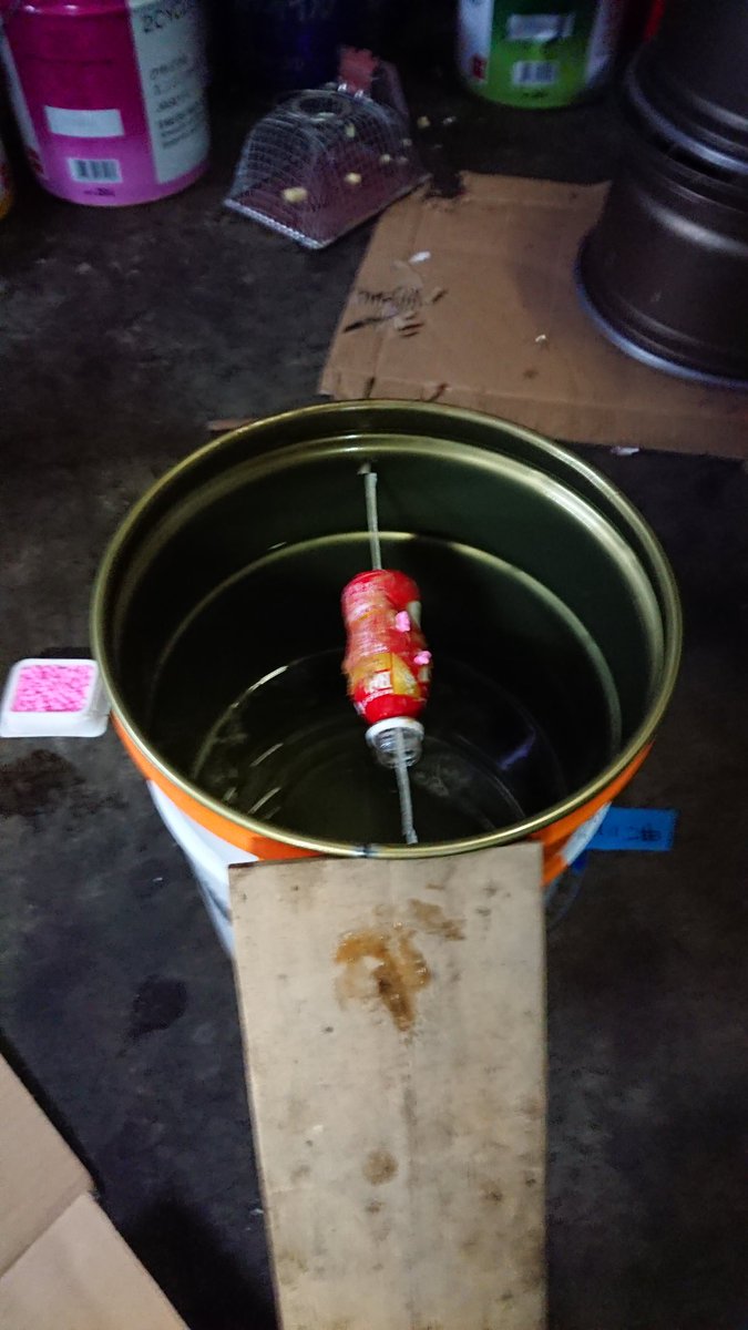 物申す系ナルシスト配信者しゅう Shuboy On Twitter おいおい 全然だめでしたわ ネズミの野郎 C Gt ぺったんには手の跡 尻尾の跡あり抜け出した感じがあり ピーナッツバターの付いたペットは引き寄せられ 綺麗に舐めまくりやがって W ﾊﾞｧﾝ もう