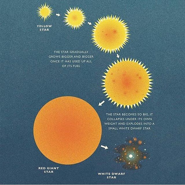 Tiphaine_agency's tweet photo. Illustration by @benjinewman for @profastrocat
#stars #sun #space #supernova #science #profastrocat https://t.co/0LsYcBYjMI https://t.co/EkXDqE0LmD