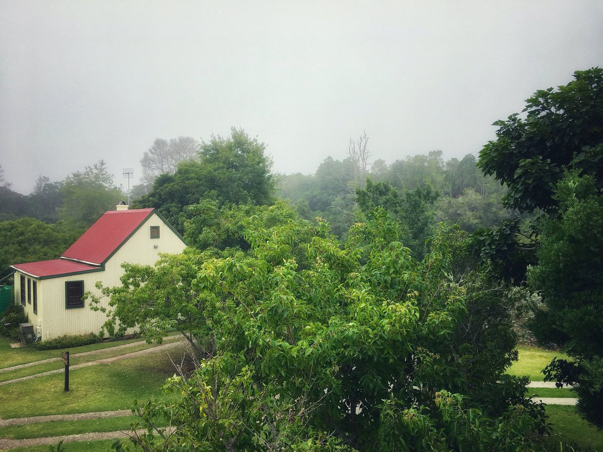 Forest_Edge tweet media