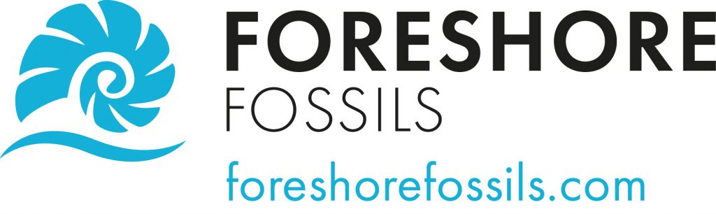 Forshore Fossils tweet media
